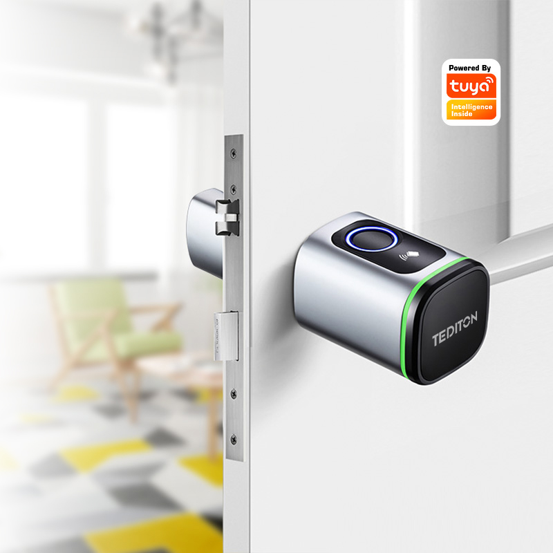 Airbnb Smart Home - Tuya Wifi serrure de porte à