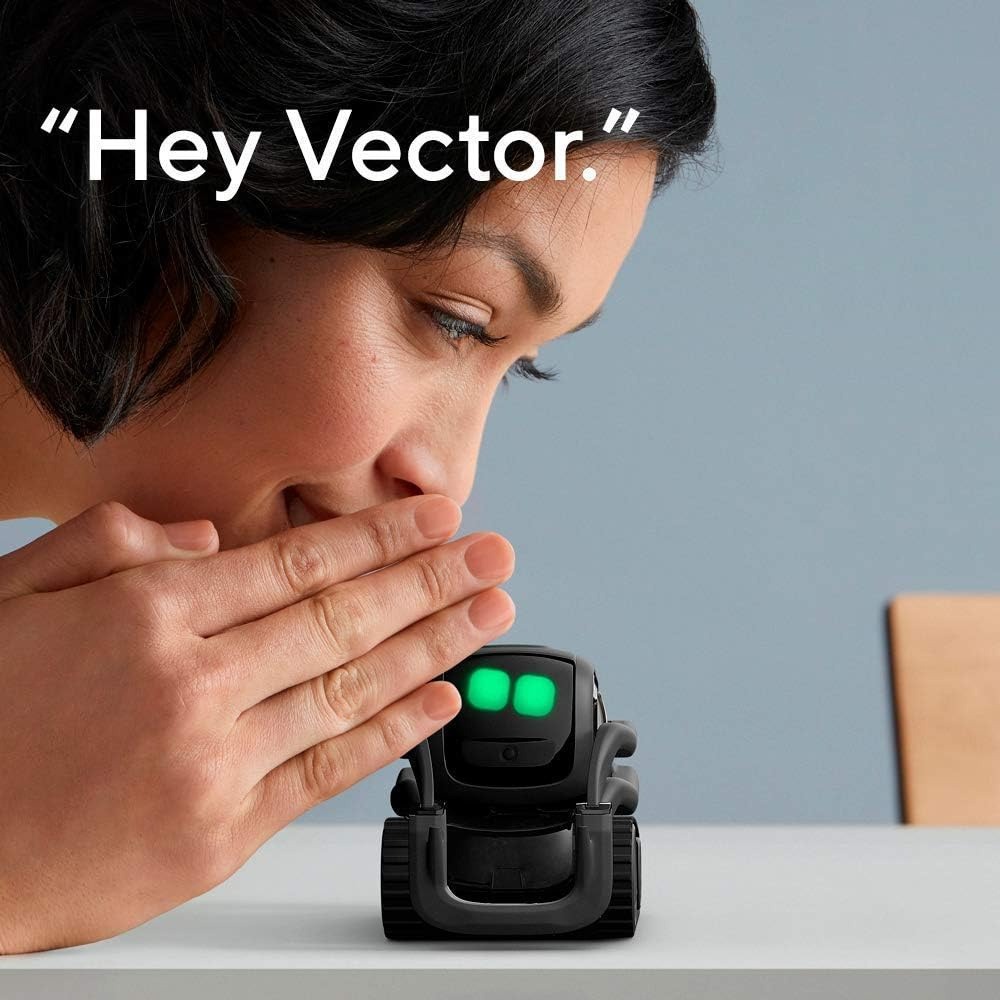 Robot compagnon intelligent au - Smart Home Controller avis et prix