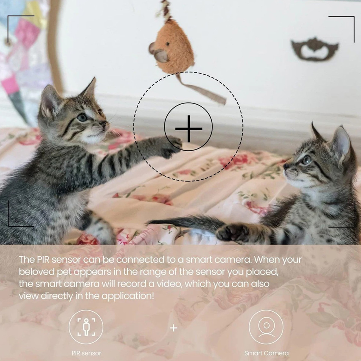 Capteur de mouvement PIR ZigBe - Smart Home Blog avis et prix