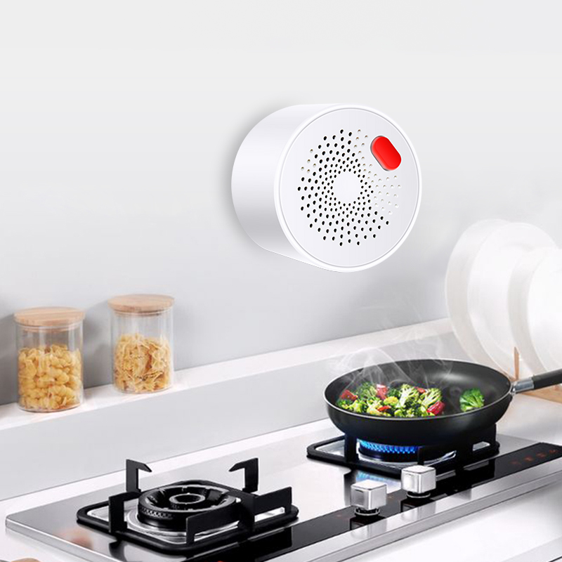 Tuya-Capteur de gaz naturel do - Smart Home Blog avis et prix