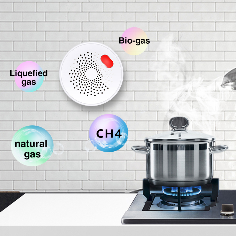 Tuya-Capteur de gaz naturel do - Smart Home Blog avis et prix
