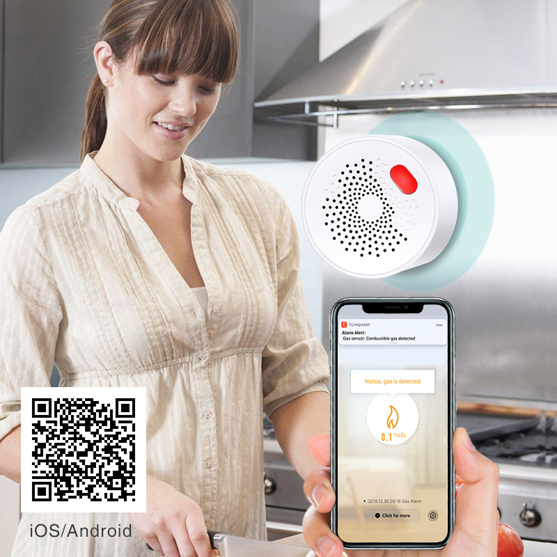Tuya-Capteur de gaz naturel do - Smart Home Blog avis et prix
